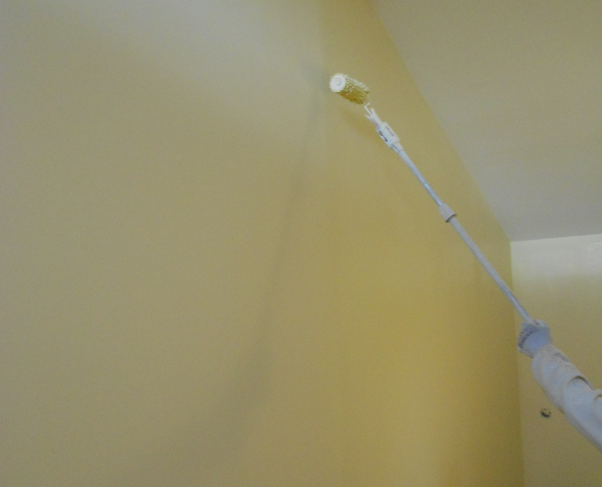 Pintura sin olor ecológica.